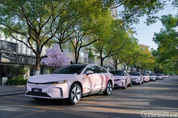 武汉赏樱追光同行 岚图追光"赏樱专驾"活动圆满结束